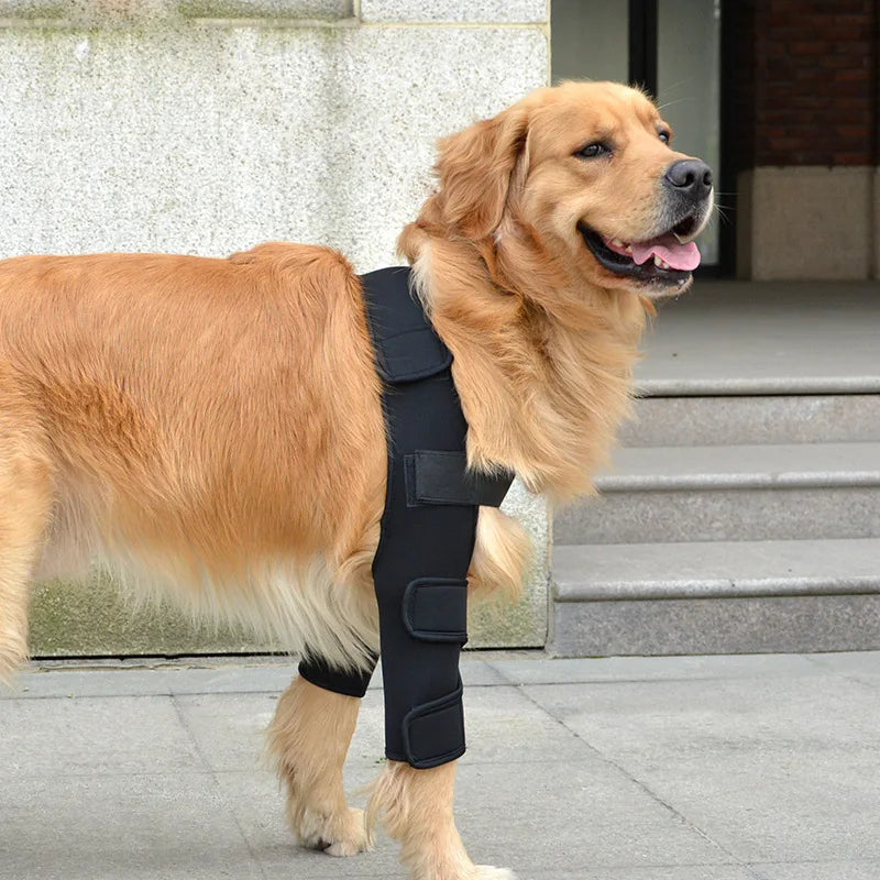 Dog elbow protection pad is suitable for supporting elbow and shoulder moisture, developmental disorders, osteoarthritis