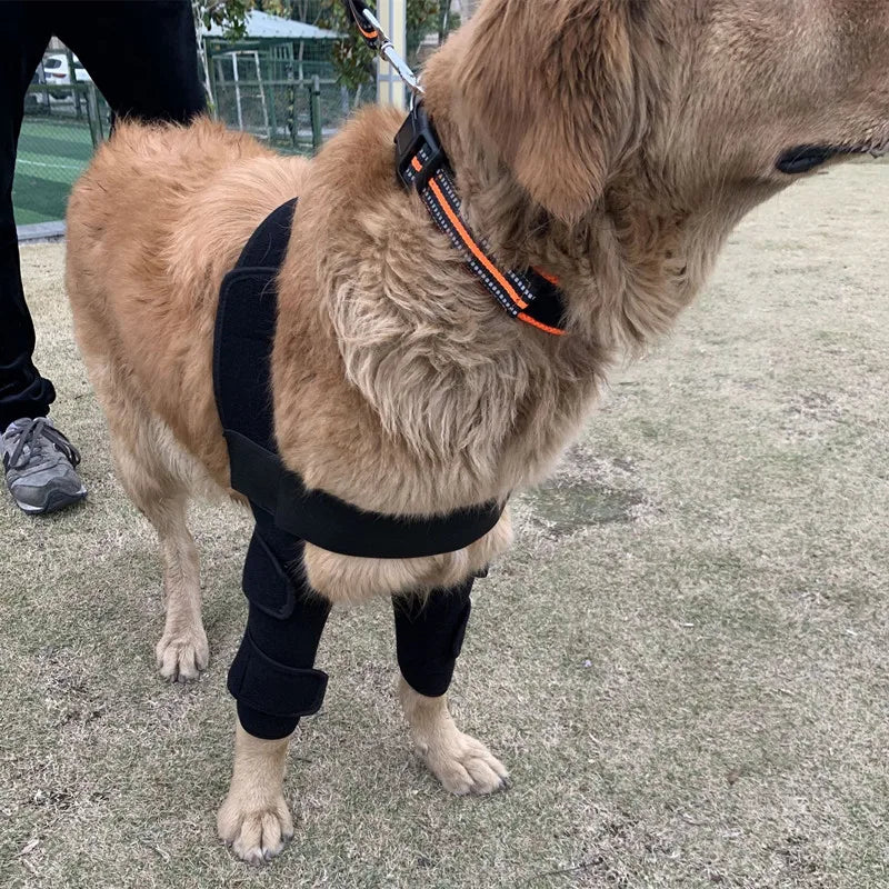 Dog elbow protection pad is suitable for supporting elbow and shoulder moisture, developmental disorders, osteoarthritis