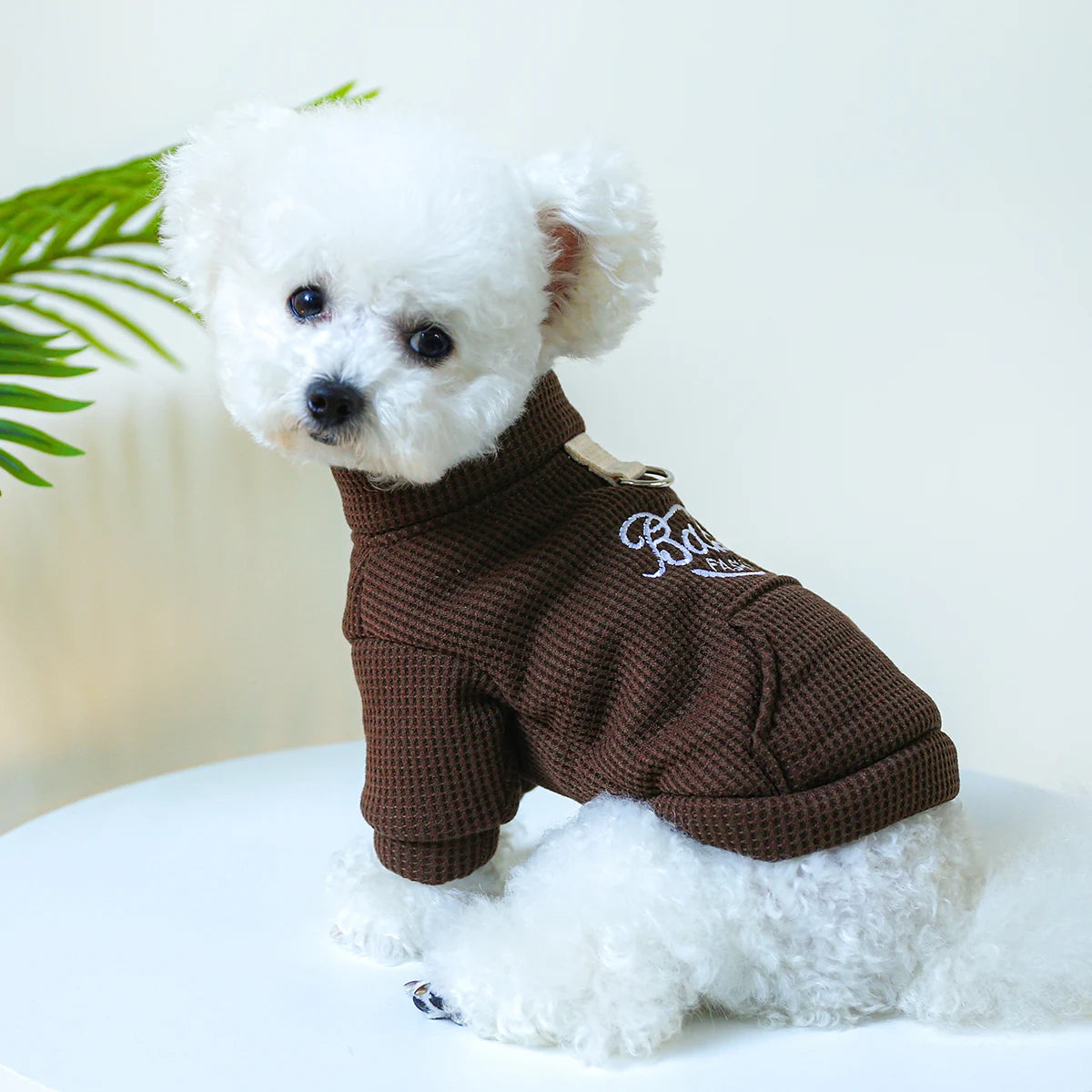 1PC Pet Clothing Dog Cat Autumn and Winter Plush Thickened Warm Pullover Round Neck With Drawstring Buckle For Small Medium Dogs