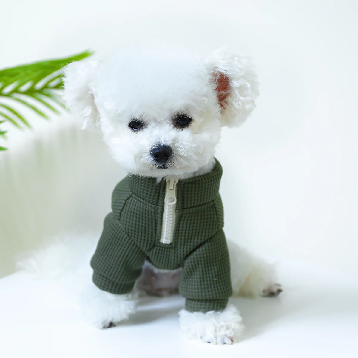 1PC Pet Clothing Dog Cat Autumn and Winter Plush Thickened Warm Pullover Round Neck With Drawstring Buckle For Small Medium Dogs