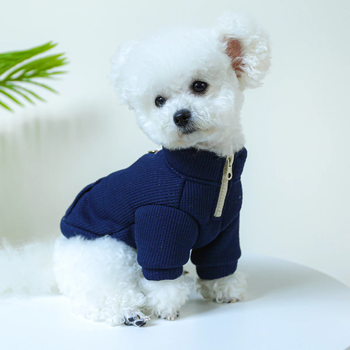 1PC Pet Clothing Dog Cat Autumn and Winter Plush Thickened Warm Pullover Round Neck With Drawstring Buckle For Small Medium Dogs